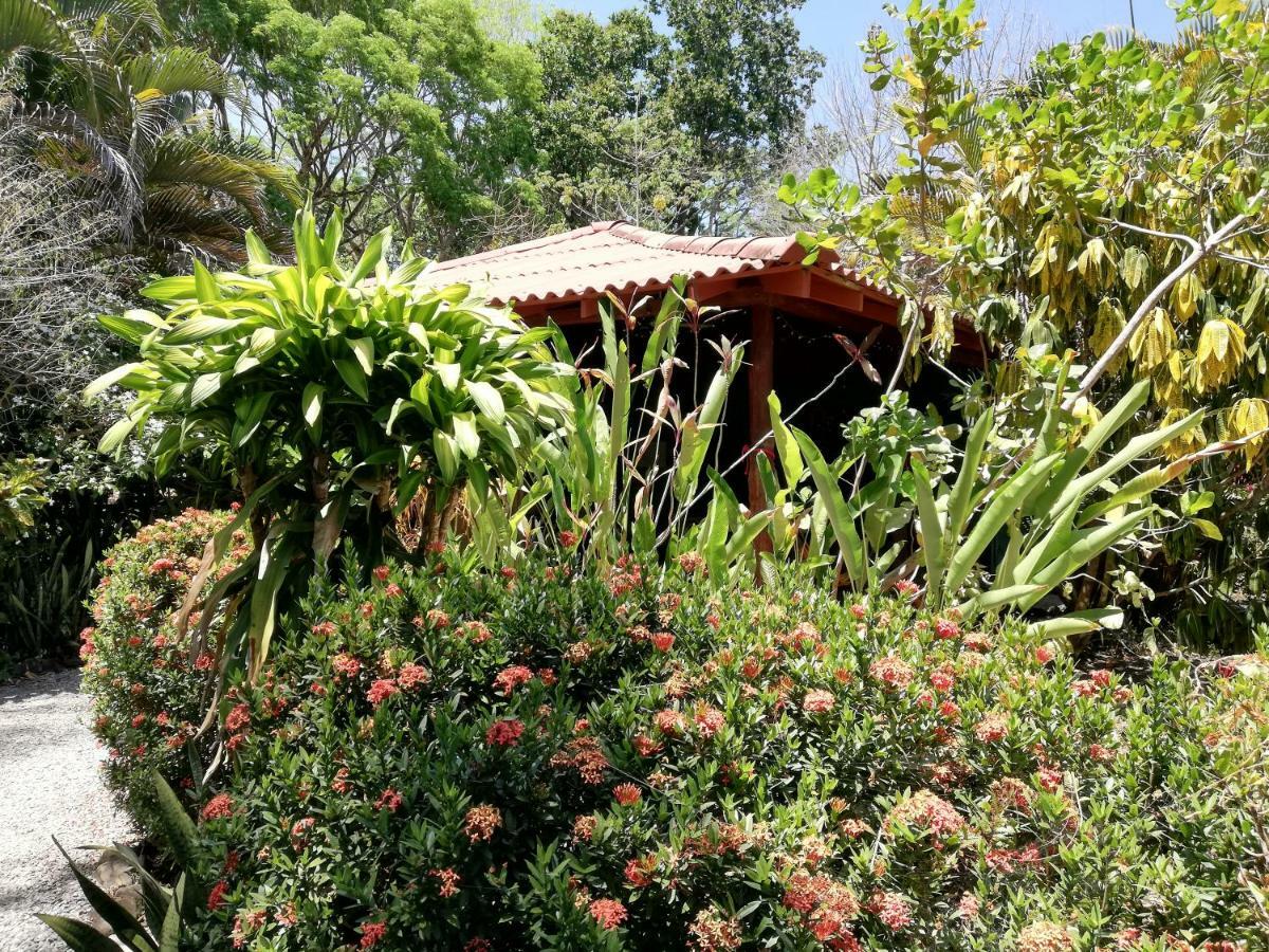 Mundo Goub'Art Bed & Breakfast Cabuya  Ngoại thất bức ảnh