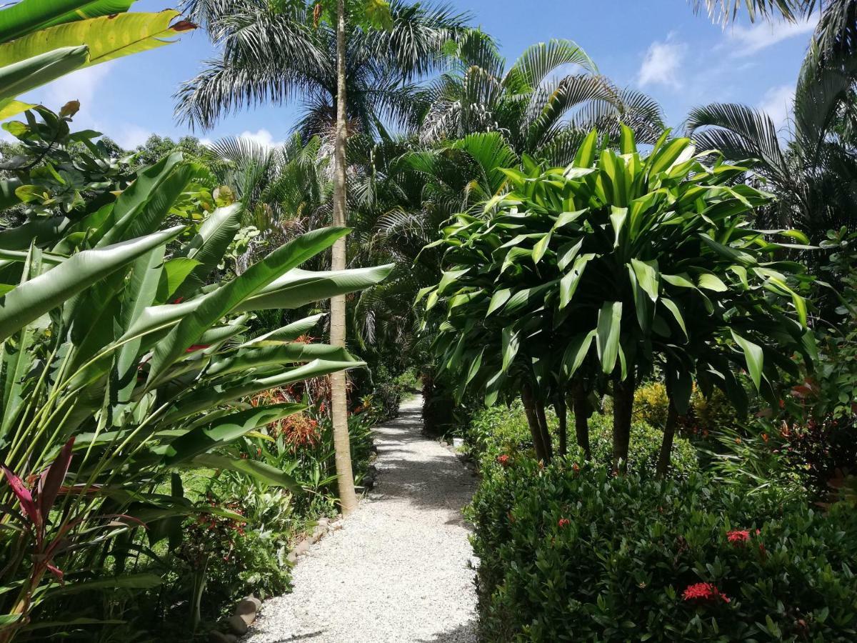 Mundo Goub'Art Bed & Breakfast Cabuya  Ngoại thất bức ảnh